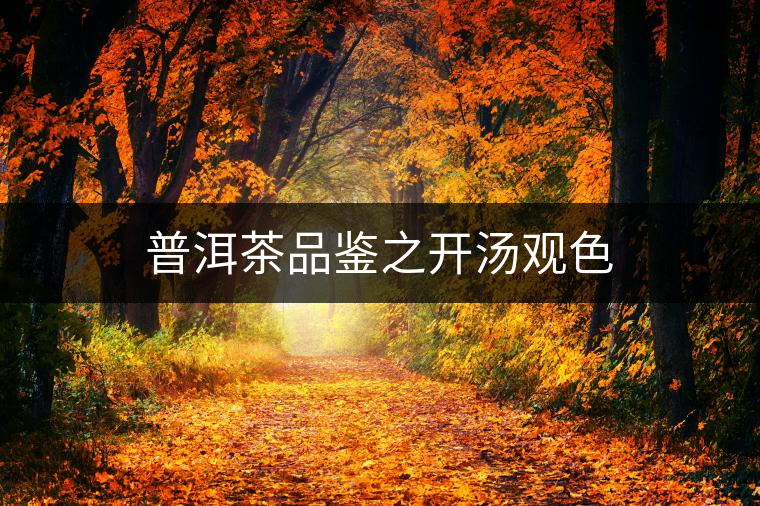 普洱茶品鑒之開湯觀色 普洱茶品鑒之開湯觀色
