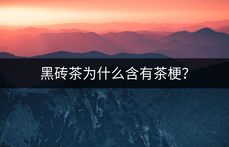 黑磚茶為什么含有茶梗？