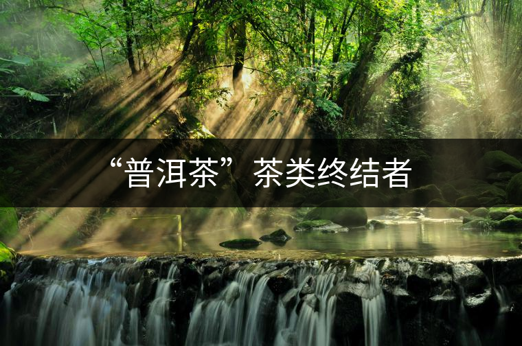 “普洱茶”茶類(lèi)終結(jié)者