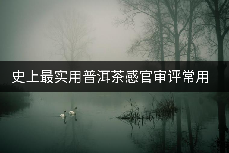 史上最實(shí)用普洱茶感官審評(píng)常用術(shù)語(yǔ)大全 史上最實(shí)用普洱茶感官審評(píng)常用術(shù)語(yǔ)大全