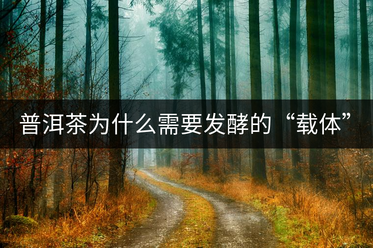 普洱茶為什么需要發(fā)酵的“載體”？