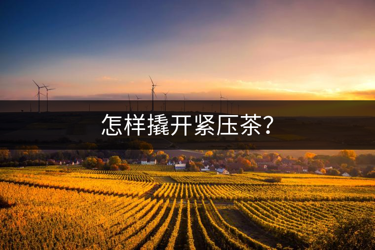 怎樣撬開緊壓茶？