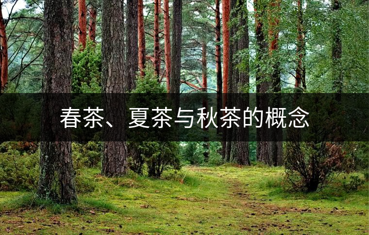 春茶、夏茶與秋茶的概念