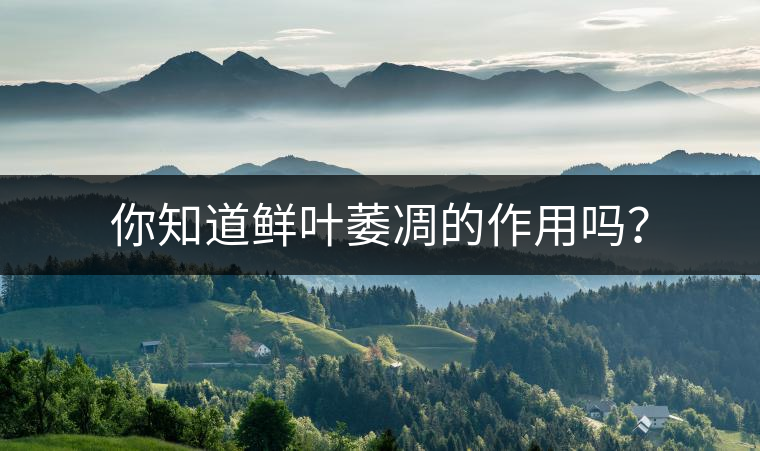 你知道鮮葉萎凋的作用嗎？