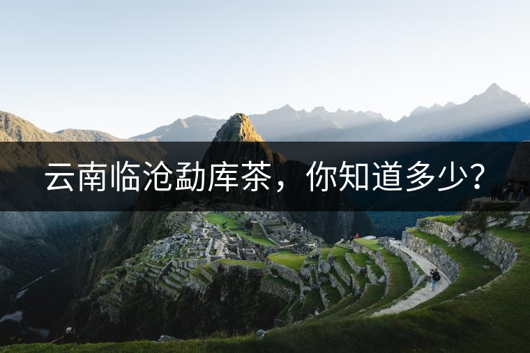 云南臨滄勐庫茶，你知道多少？