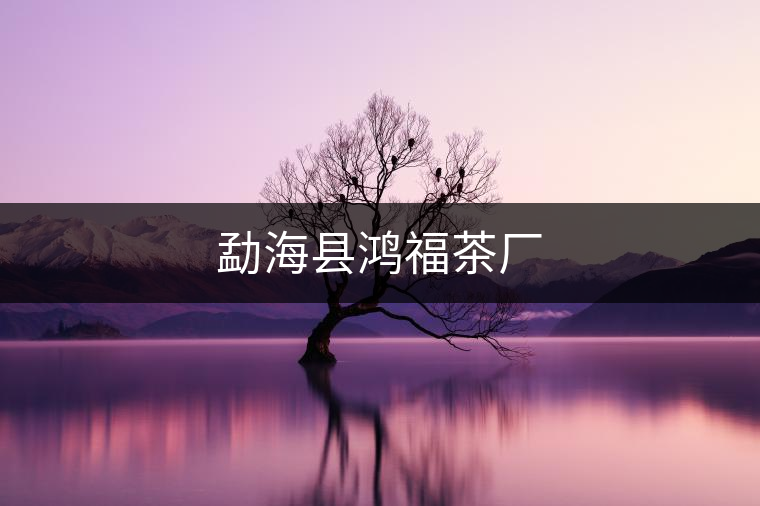 勐?？h鴻福茶廠