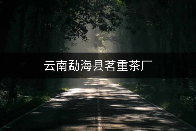 云南勐?？h茗重茶廠