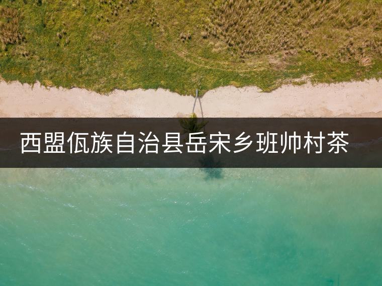 西盟佤族自治縣岳宋鄉(xiāng)班帥村茶廠