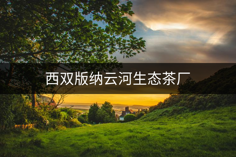 西雙版納云河生態(tài)茶廠