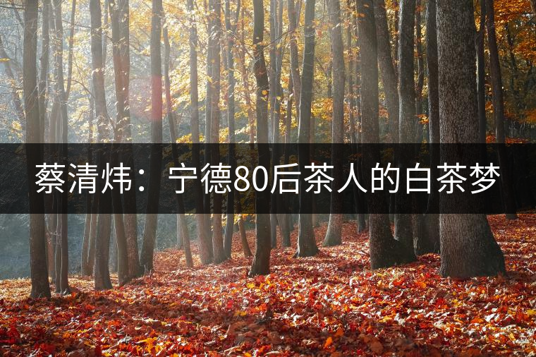 蔡清煒：寧德80后茶人的白茶夢(mèng)