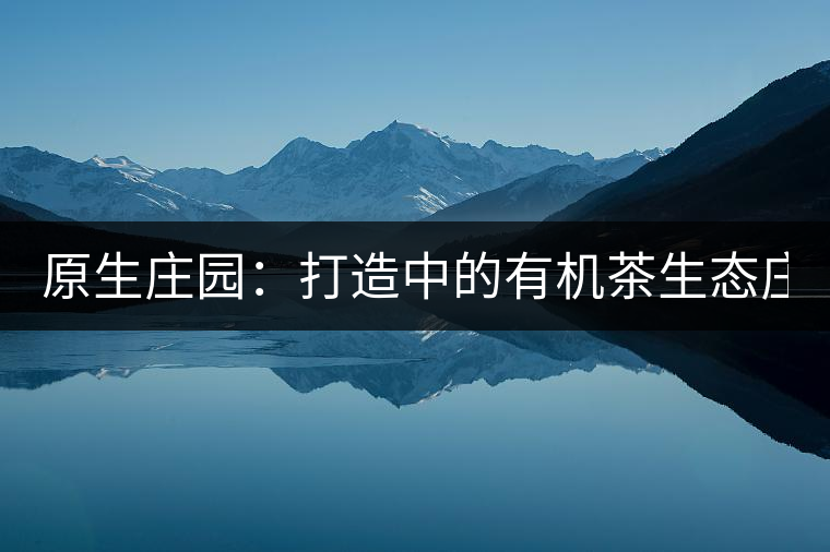 原生莊園:打造中的有機(jī)茶生態(tài)莊園(二) 原生莊園:打造中的有機(jī)茶生態(tài)莊園(二)
