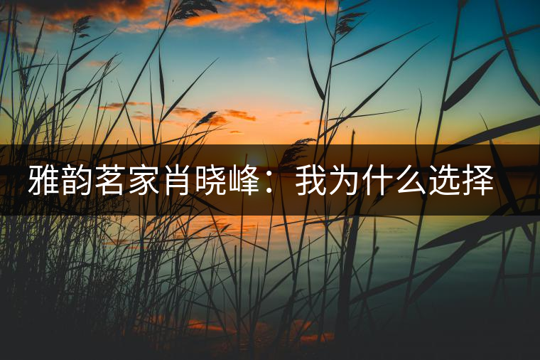 雅韻茗家肖曉峰:我為什么選擇古樹(shù)茶 雅韻茗家肖曉峰:我為什么選擇古樹(shù)茶