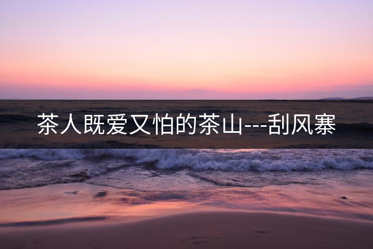 茶人既愛又怕的茶山---刮風寨