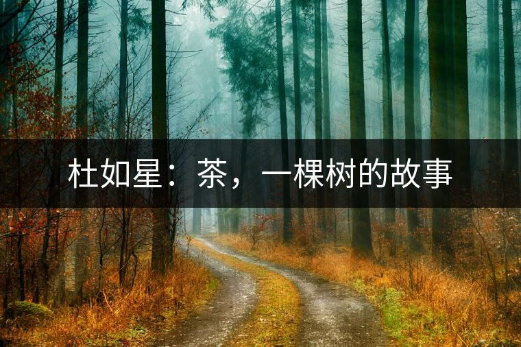 杜如星：茶，一棵樹的故事