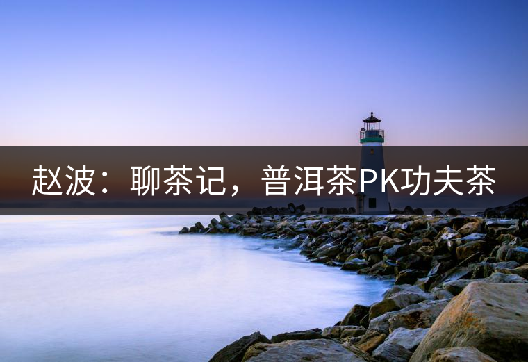 趙波：聊茶記，普洱茶PK功夫茶