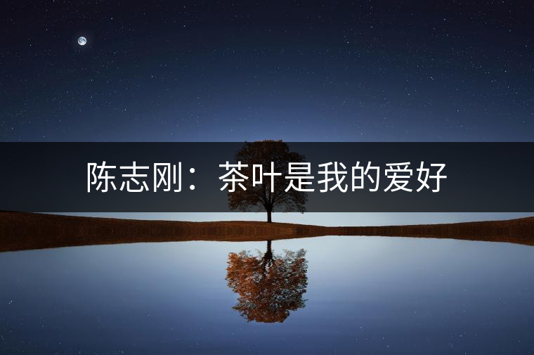 陳志剛:茶葉是我的愛好 陳志剛:茶葉是我的愛好