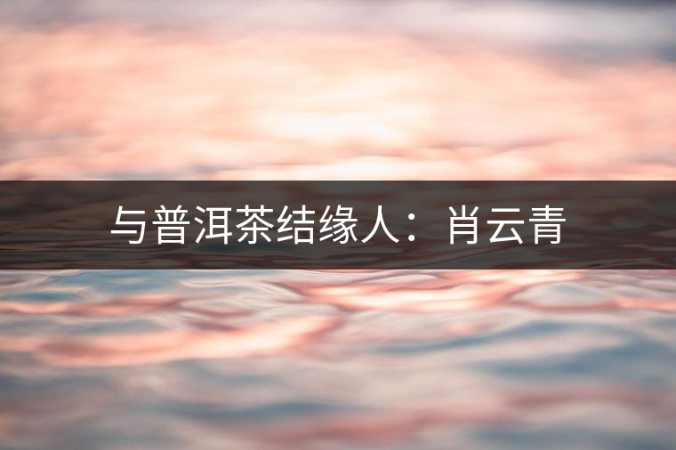 與普洱茶結緣人：肖云青