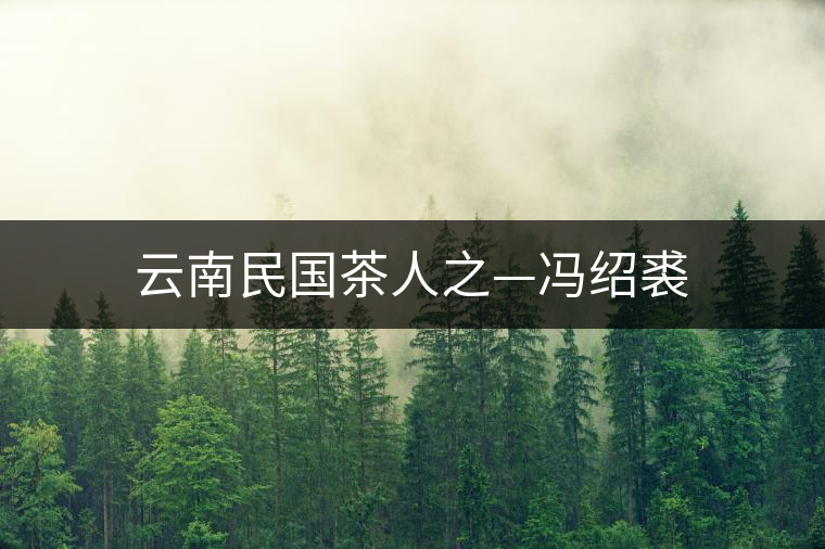 云南民國茶人之—馮紹裘