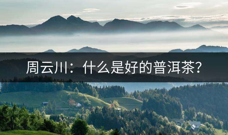 周云川：什么是好的普洱茶？
