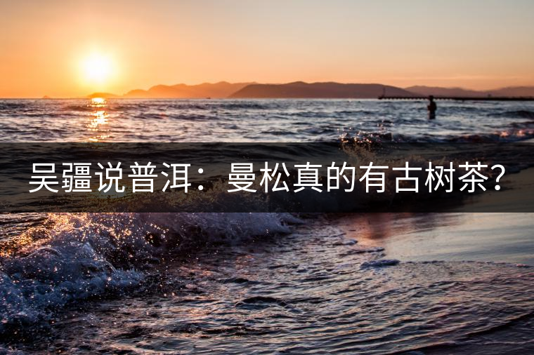 吳疆說普洱：曼松真的有古樹茶？