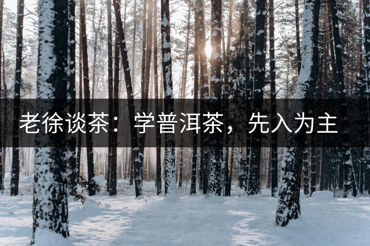 老徐談茶：學(xué)普洱茶，先入為主易被打臉，還得實踐出真知！