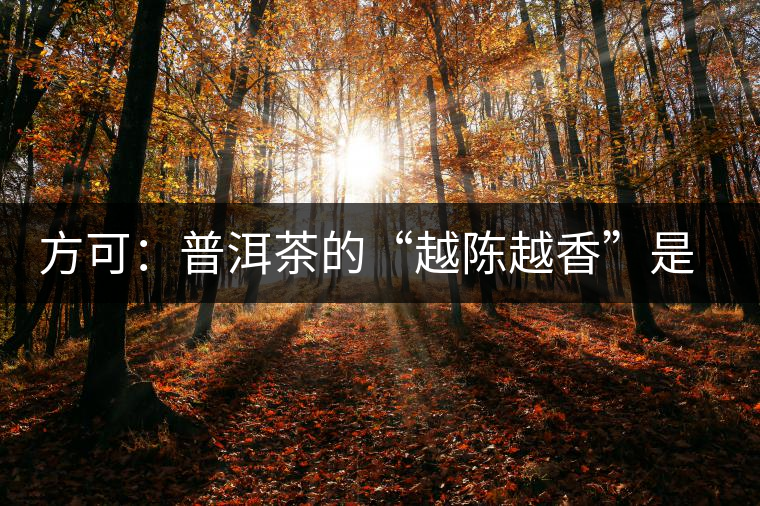 方可：普洱茶的“越陳越香”是有條件、有技術(shù)的