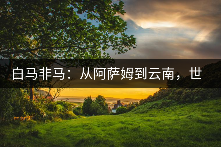 白馬非馬：從阿薩姆到云南，世界茶樹起源爭(zhēng)論的誤區(qū)