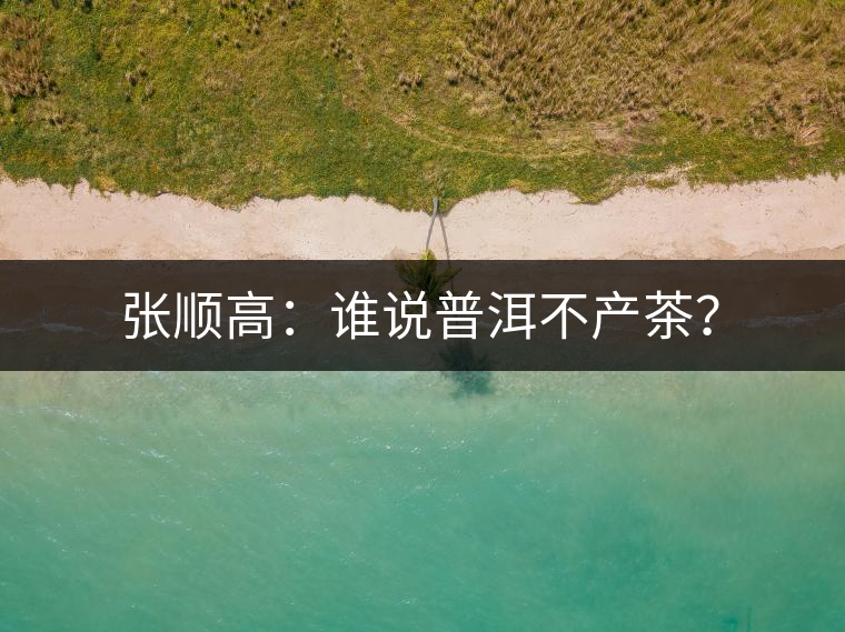 張順高：誰(shuí)說(shuō)普洱不產(chǎn)茶？
