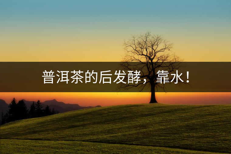 普洱茶的后發(fā)酵，靠水！