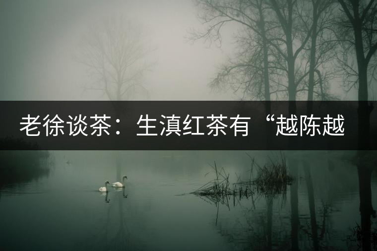 老徐談茶：生滇紅茶有“越陳越香”的特點嗎？