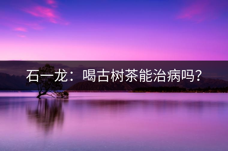 石一龍：喝古樹茶能治病嗎？