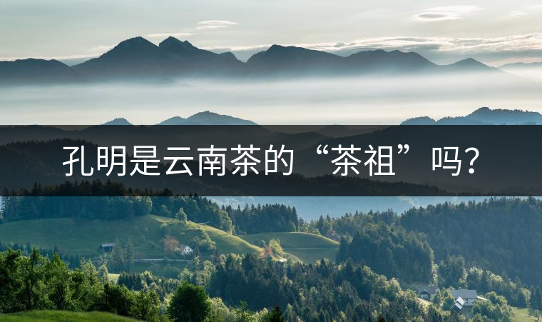 孔明是云南茶的“茶祖”嗎？