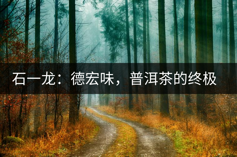 石一龍：德宏味，普洱茶的終極意境