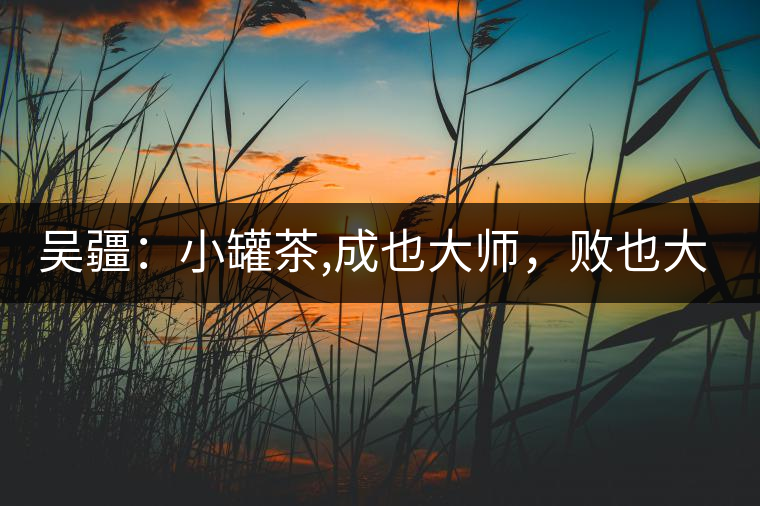 吳疆：小罐茶,成也大師，敗也大師