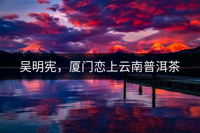 吳明憲，廈門(mén)戀上云南普洱茶