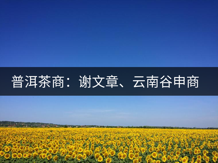 普洱茶商：謝文章、云南谷申商貿(mào)有限公司總經(jīng)理