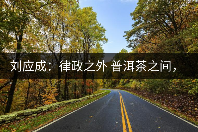 劉應(yīng)成：律政之外 普洱茶之間，在峨毛茶上的三個(gè)首創(chuàng)