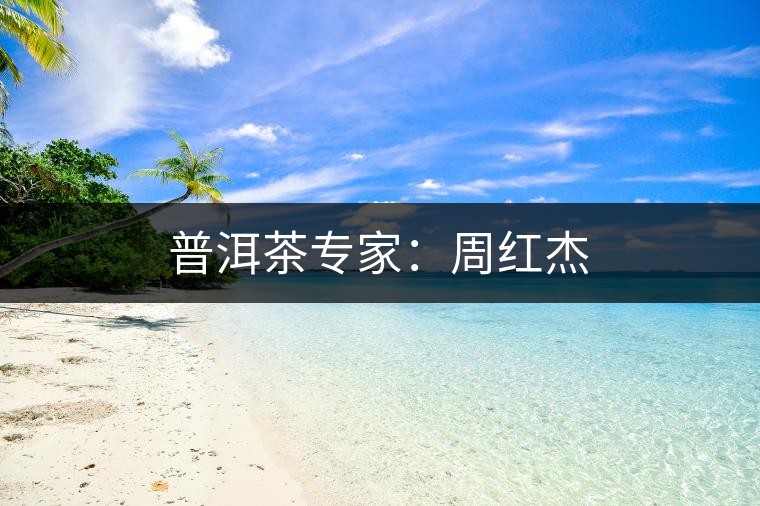 普洱茶專(zhuān)家：周紅杰