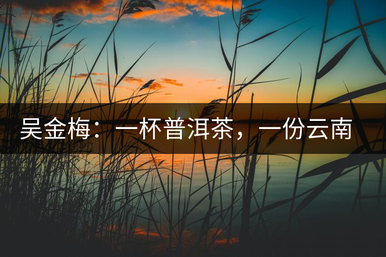 吳金梅：一杯普洱茶，一份云南情