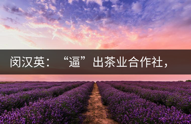 閔漢英：“逼”出茶業(yè)合作社，帶領(lǐng)村民走上致富路