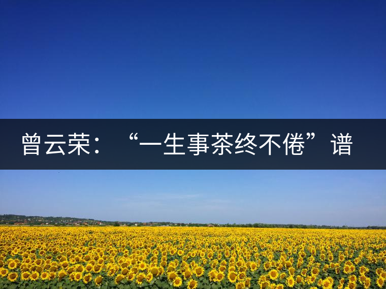 曾云榮:“一生事茶終不倦”譜寫(xiě)絢麗人生 曾云榮:“一生事茶終不倦”譜寫(xiě)絢麗人生