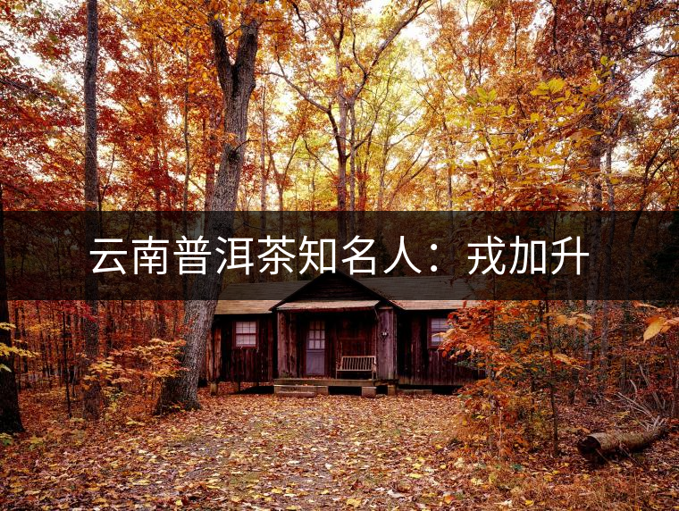 云南普洱茶知名人：戎加升