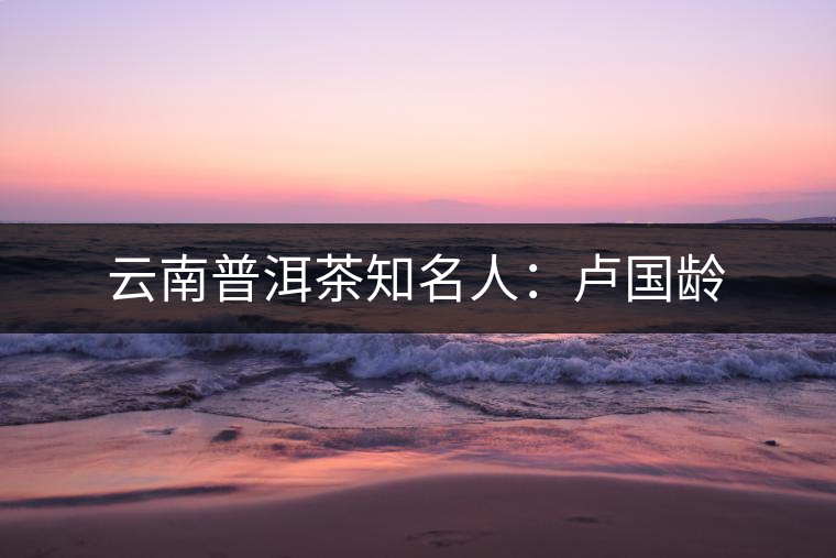 云南普洱茶知名人:盧國齡 云南普洱茶知名人:盧國齡