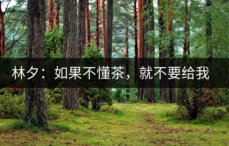 林夕：如果不懂茶，就不要給我送茶