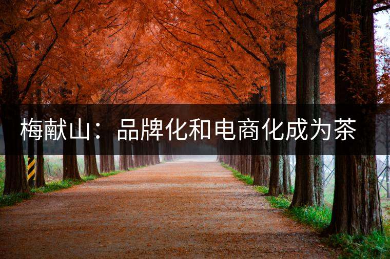 梅獻山:品牌化和電商化成為茶產(chǎn)業(yè)的第三個轉機 梅獻山:品牌化和電商化成為茶產(chǎn)業(yè)的第三個轉機