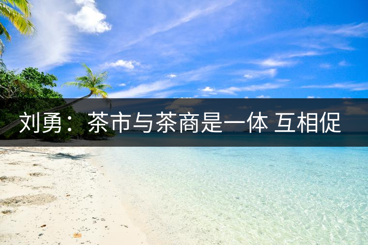 劉勇：茶市與茶商是一體 互相促進才能更好發(fā)展