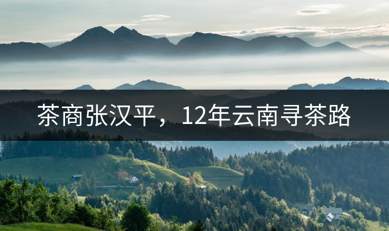 茶商張漢平，12年云南尋茶路