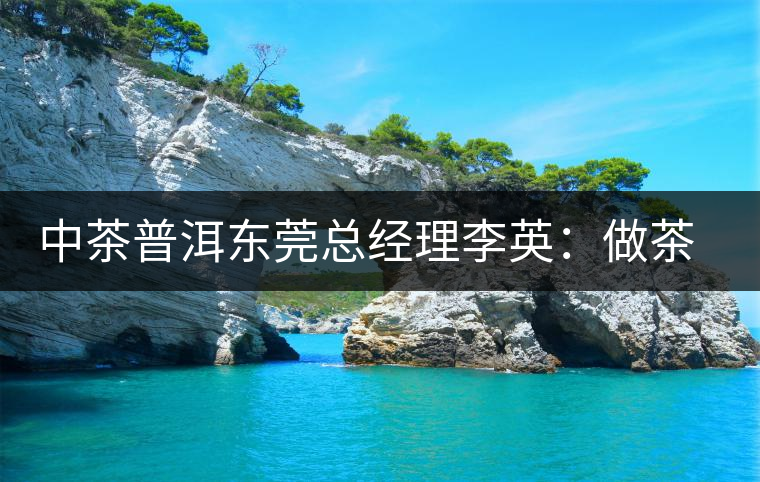 中茶普洱東莞總經(jīng)理李英:做茶應(yīng)該“心思簡(jiǎn)靜” 中茶普洱東莞總經(jīng)理李英:做茶應(yīng)該“心思簡(jiǎn)靜”