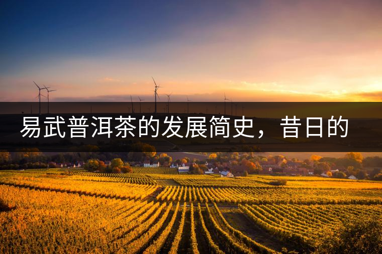 易武普洱茶的發(fā)展簡(jiǎn)史，昔日的貢茶如今依然輝煌