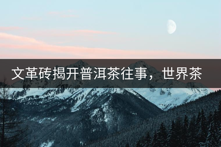 文革磚揭開普洱茶往事，世界茶文化交流協(xié)會成員共品經(jīng)典文革磚！